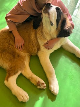 つくばわんわんランドに投稿された画像（2024/2/3）