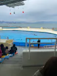 マリンワールド海の中道に投稿された画像（2024/2/3）