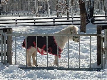 ノーザンホースパークに投稿された画像（2024/2/3）