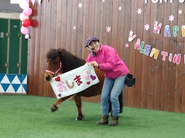 ノーザンホースパークに投稿された画像（2024/2/3）