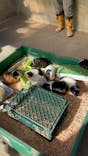 宇都宮動物園に投稿された画像（2024/2/3）