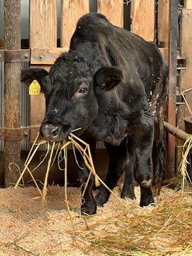 宇都宮動物園に投稿された画像（2024/2/3）