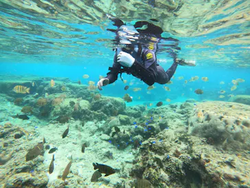 武藤潜水に投稿された画像（2024/2/3）