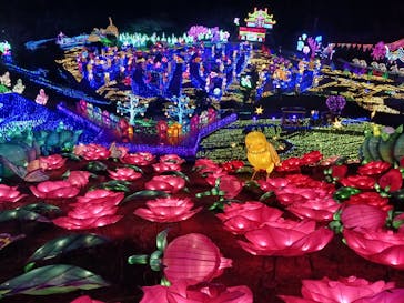 伊豆ぐらんぱる公園に投稿された画像（2024/2/3）