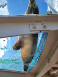 サンシャイン水族館に投稿された画像（2024/2/3）