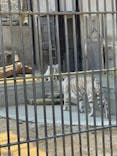 宇都宮動物園に投稿された画像（2024/2/3）