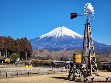 まかいの牧場に投稿された画像（2024/2/3）