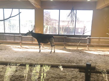 よこはま動物園ズーラシアに投稿された画像（2024/2/3）