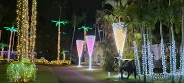 美らヤシパークオキナワ・東南植物楽園に投稿された画像（2024/2/3）