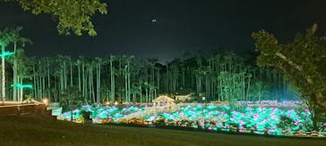 美らヤシパークオキナワ・東南植物楽園に投稿された画像（2024/2/3）