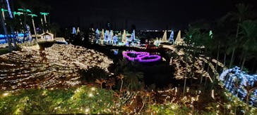 美らヤシパークオキナワ・東南植物楽園に投稿された画像（2024/2/3）