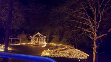 修善寺虹の郷に投稿された画像（2024/2/3）