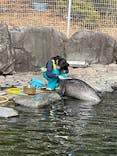 箱根園水族館に投稿された画像（2024/2/3）