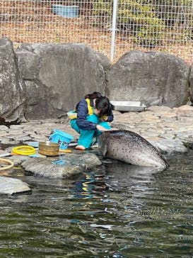 箱根園水族館に投稿された画像（2024/2/3）