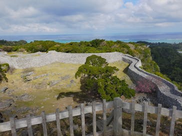 今帰仁城跡に投稿された画像（2024/2/3）