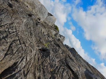 今帰仁城跡に投稿された画像（2024/2/3）