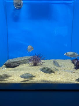 マリンワールド海の中道に投稿された画像（2024/2/3）