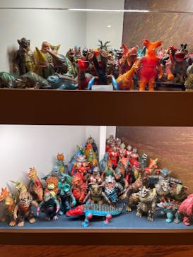 マリンワールド海の中道に投稿された画像（2024/2/3）