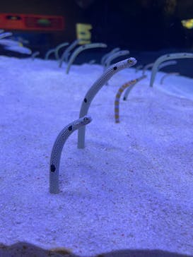 マリンワールド海の中道に投稿された画像（2024/2/3）