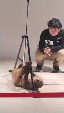 カワスイ 川崎⽔族館に投稿された画像（2024/2/3）