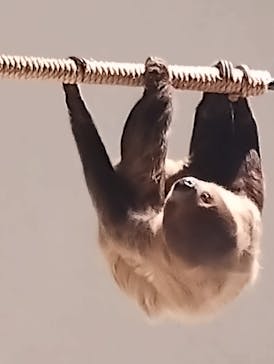 カワスイ 川崎⽔族館に投稿された画像（2024/2/3）