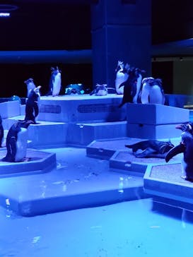 AOAO SAPPOROに投稿された画像（2024/2/3）