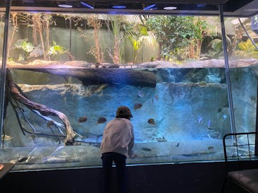 カワスイ 川崎⽔族館に投稿された画像（2024/2/3）