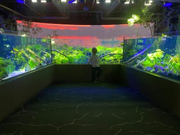 カワスイ 川崎⽔族館に投稿された画像（2024/2/3）