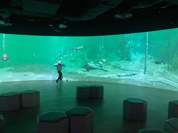 カワスイ 川崎⽔族館に投稿された画像（2024/2/3）