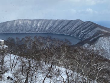 のぼりべつクマ牧場に投稿された画像（2024/2/3）