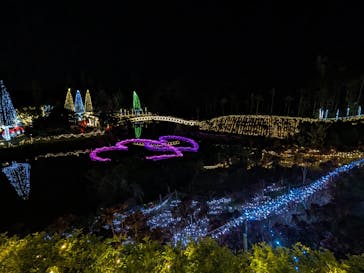 美らヤシパークオキナワ・東南植物楽園に投稿された画像（2024/2/3）