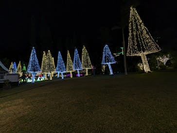 美らヤシパークオキナワ・東南植物楽園に投稿された画像（2024/2/3）