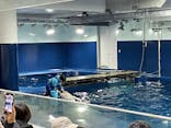 島根県立 しまね海洋館に投稿された画像（2024/2/3）