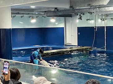 島根県立 しまね海洋館に投稿された画像（2024/2/3）