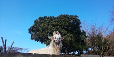 伊豆シャボテン動物公園に投稿された画像（2024/2/3）