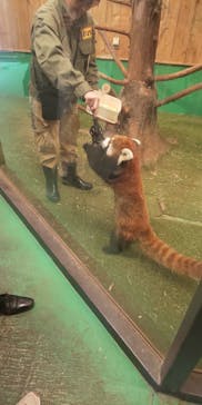 伊豆シャボテン動物公園に投稿された画像（2024/2/3）