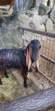 伊豆シャボテン動物公園に投稿された画像（2024/2/3）