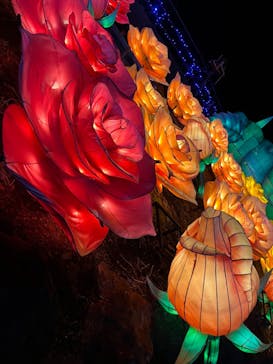 伊豆ぐらんぱる公園に投稿された画像（2024/2/3）