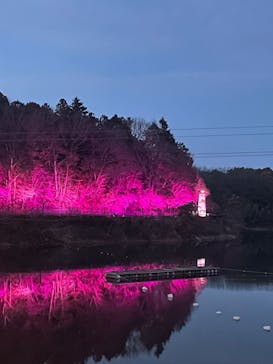 ムーミンバレーパークに投稿された画像（2024/2/3）