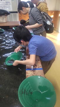 土肥金山に投稿された画像（2024/2/3）