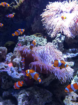 仙台うみの杜水族館に投稿された画像（2024/2/3）