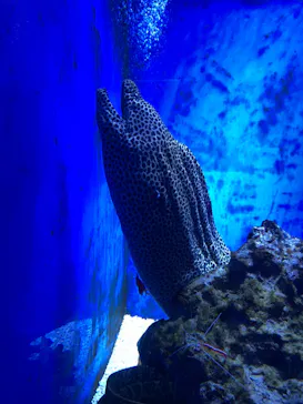 仙台うみの杜水族館に投稿された画像（2024/2/3）
