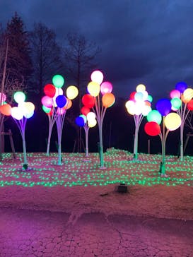 修善寺虹の郷に投稿された画像（2024/2/3）