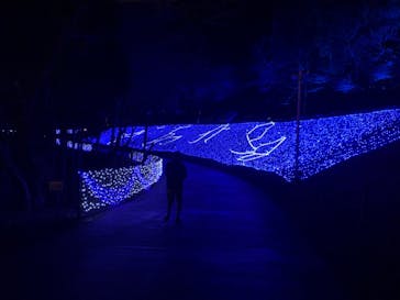 修善寺虹の郷に投稿された画像（2024/2/3）