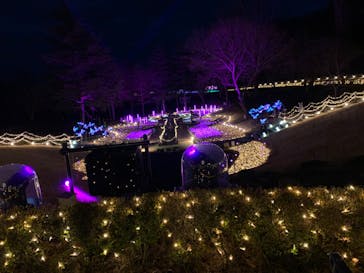 修善寺虹の郷に投稿された画像（2024/2/3）