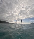 宮古島 ADVENTURE PiPi（ミヤコジマ アドベンチャー ピピ）に投稿された画像（2024/2/4）