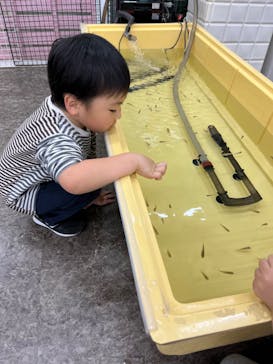 東京あそびマーレに投稿された画像（2024/2/3）