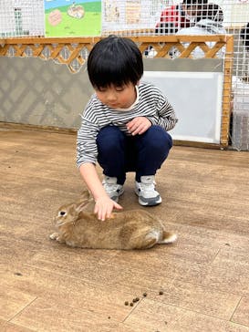 東京あそびマーレに投稿された画像（2024/2/3）