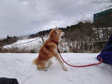 一般社団法人ヘルスケアデザイン秋田に投稿された画像（2024/2/3）