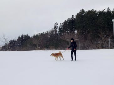 一般社団法人ヘルスケアデザイン秋田に投稿された画像（2024/2/3）